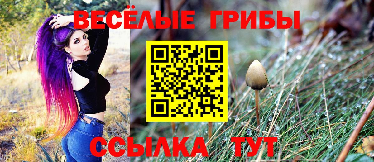 Комсомольск-на-Амуре  Галлюциногенные грибы мухоморы  Вход с VPN  Галлюциногенные грибы ЛСД 