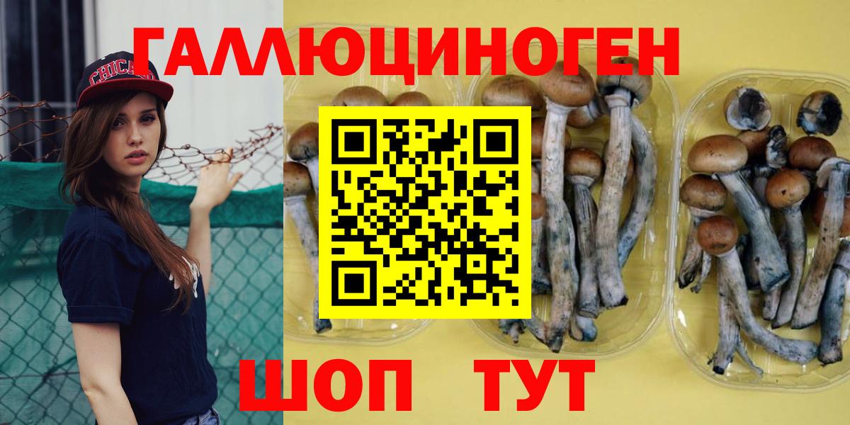 Псилоцибиновые грибы MAGIC MUSHROOMS Комсомольск-на-Амуре